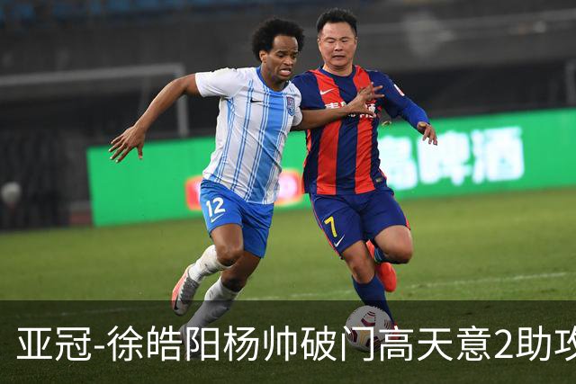 亚冠-徐皓阳杨帅破门高天意2助攻 申花2-1淡滨尼流浪者